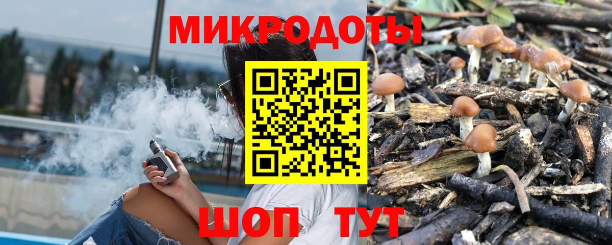Волжский  Псилоцибиновые грибы Cubensis  Вход с VPN  цена   Псилоцибиновые грибы мицелий 